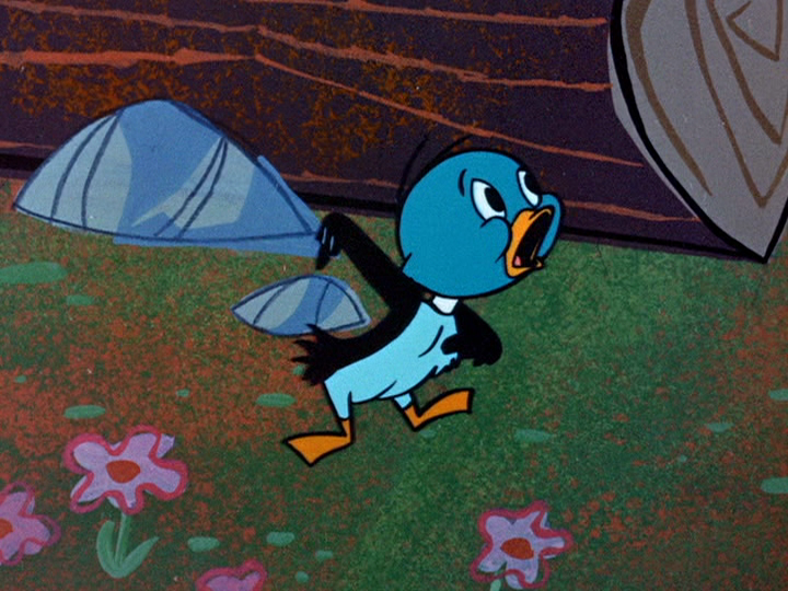 Duck in Luck