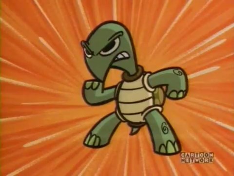 Techno Turtle