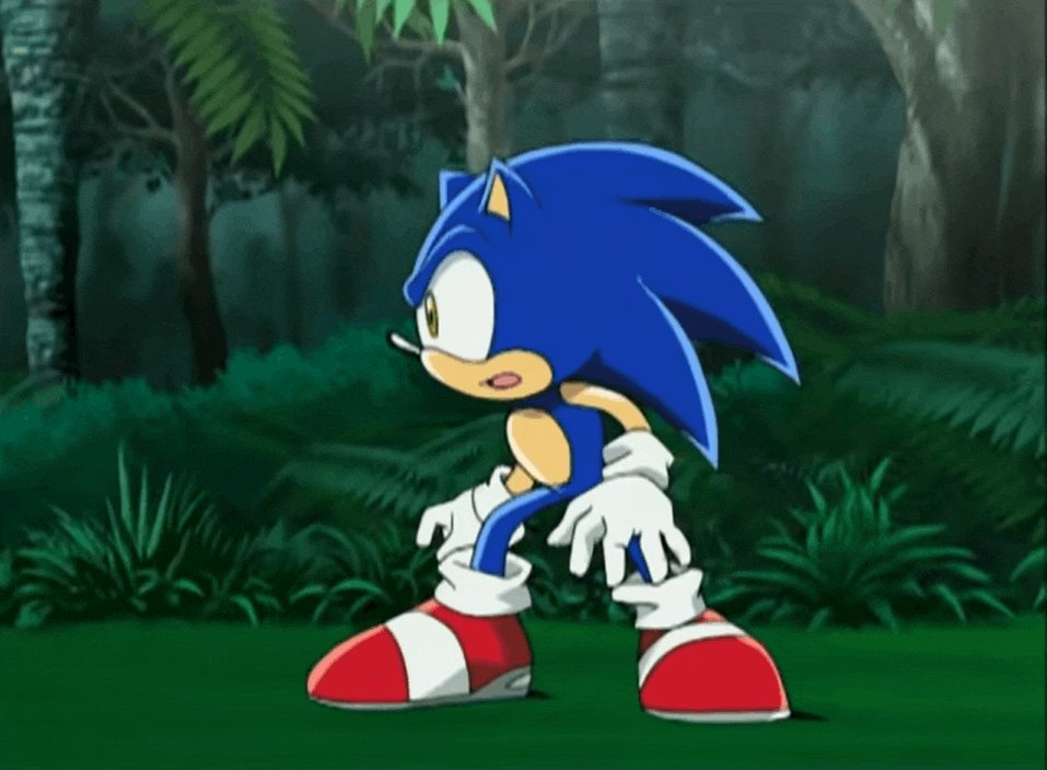 Desperately Seeking Sonic