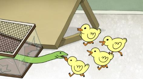 A Bunch of Baby Ducks