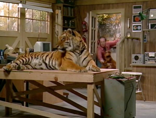 Wild Thing