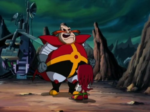 New Echidna in Town