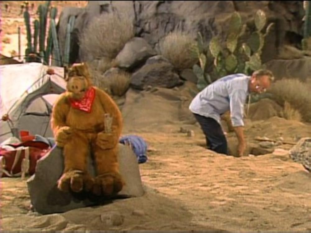 Mr. Sandman
