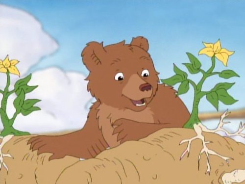 Little Bear's Garden