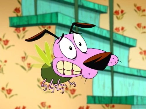 Courage the Fly