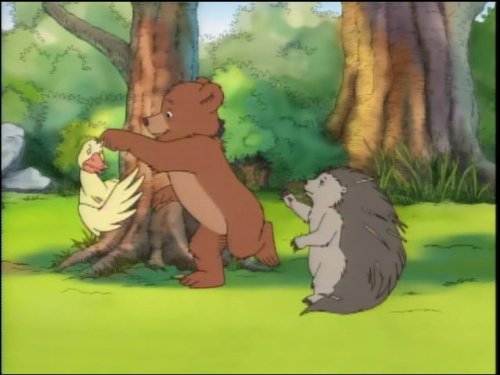 How To Love A Porcupine