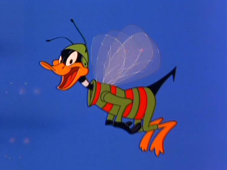 Superior Duck