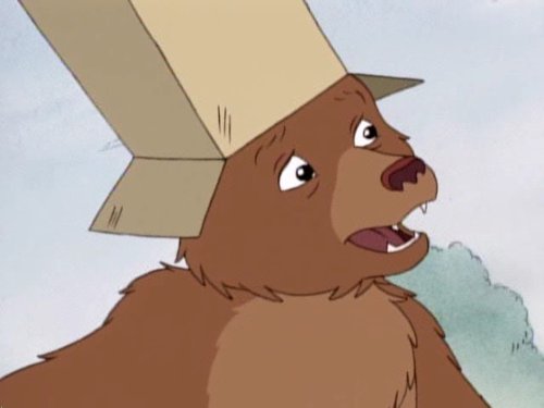 What Will Little Bear Wear
