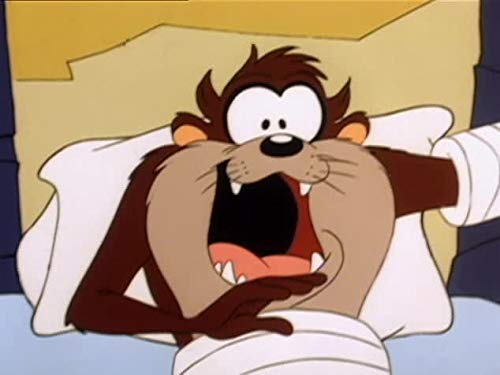 Never Cry Taz