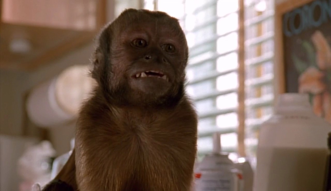 Monkey