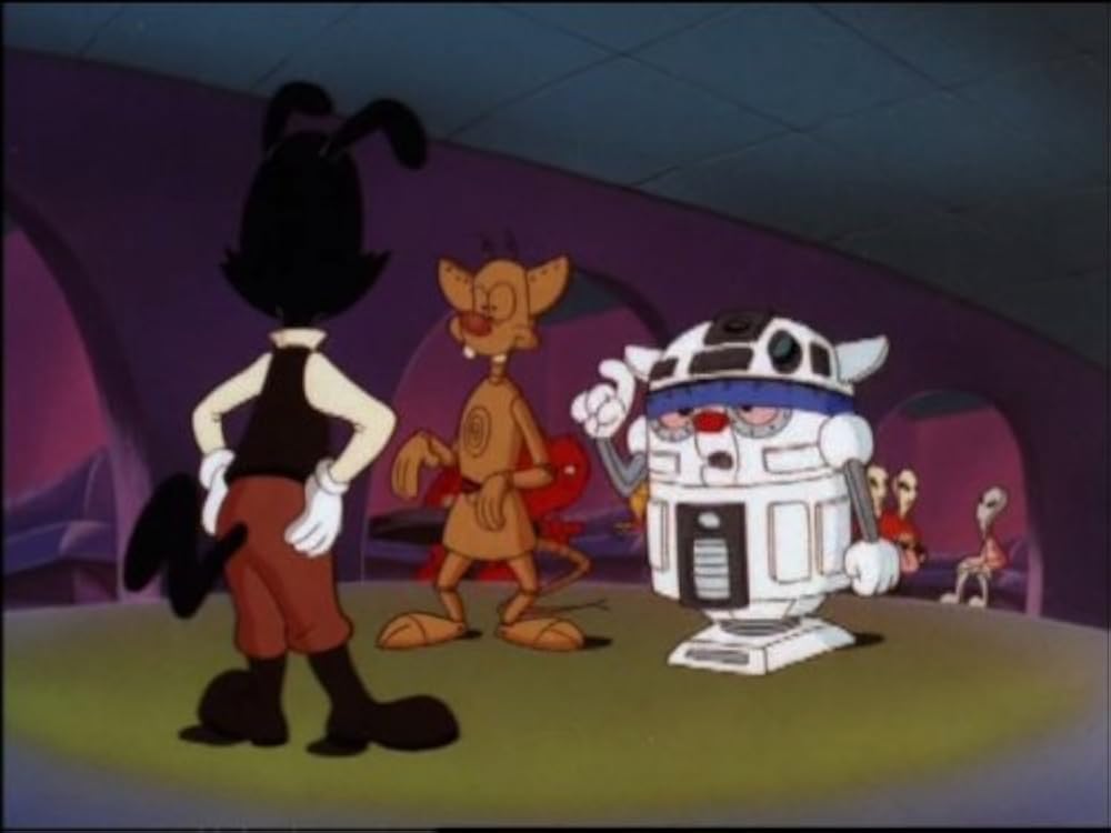 Star Warners