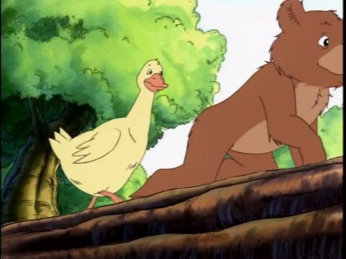 Little Bear and The Wind