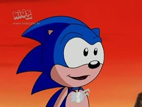 The Hedgehog in the Iron Mask