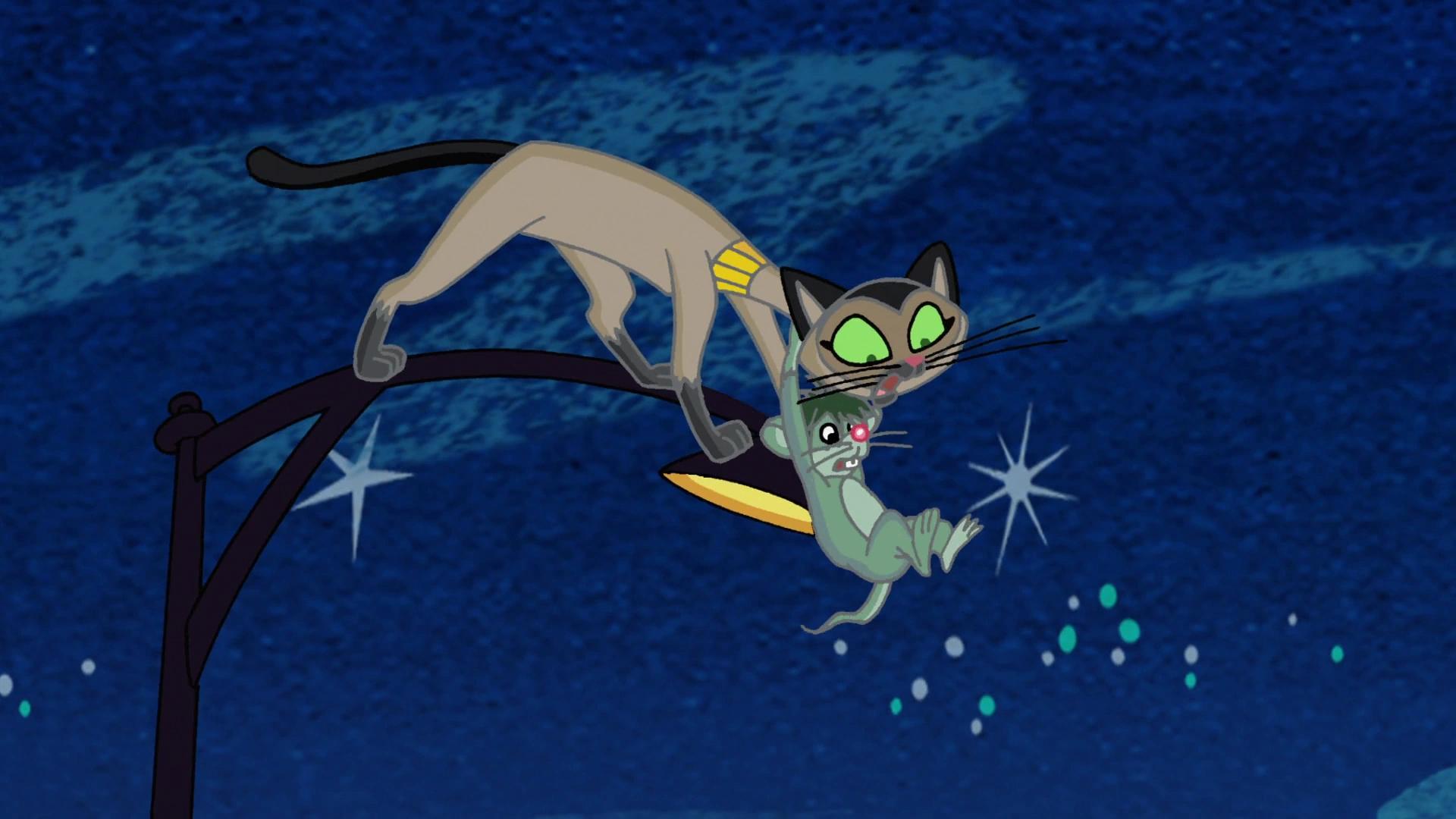 Pied Pussycat Piper