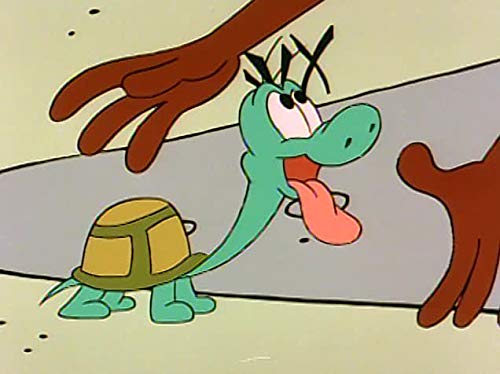 Dog the Turtle