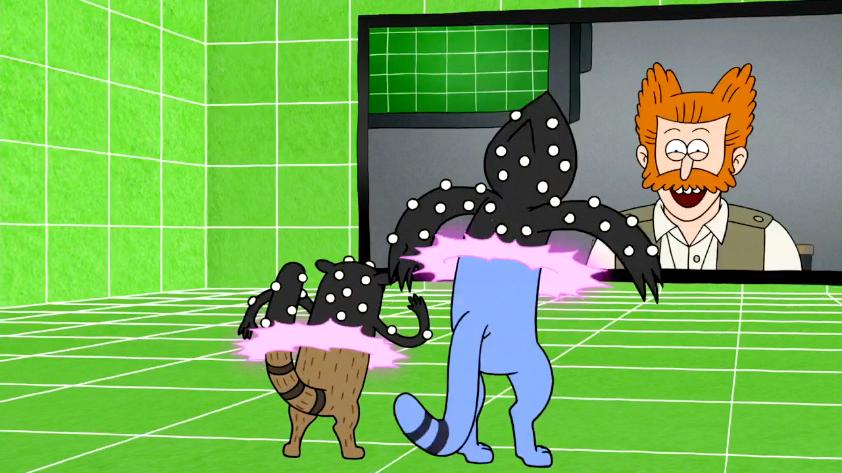 Cat Videos