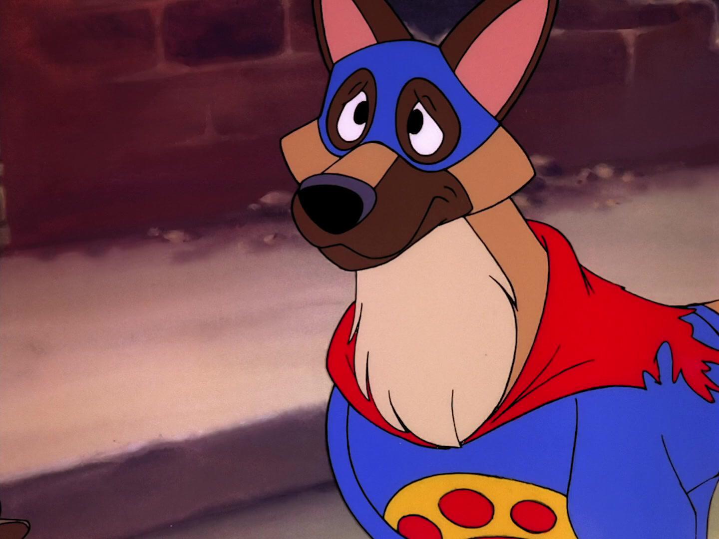Flash the Wonder Dog