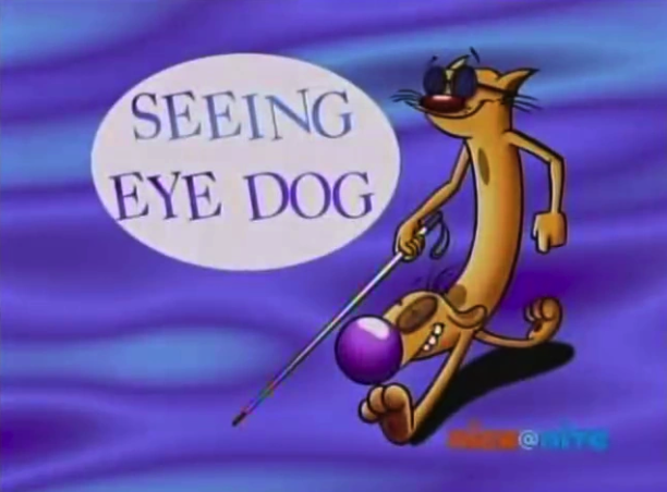 Seeing Eye Dog