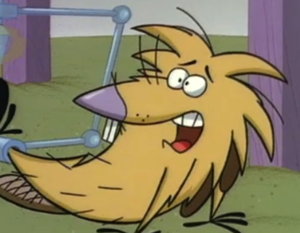 Stinky Toe