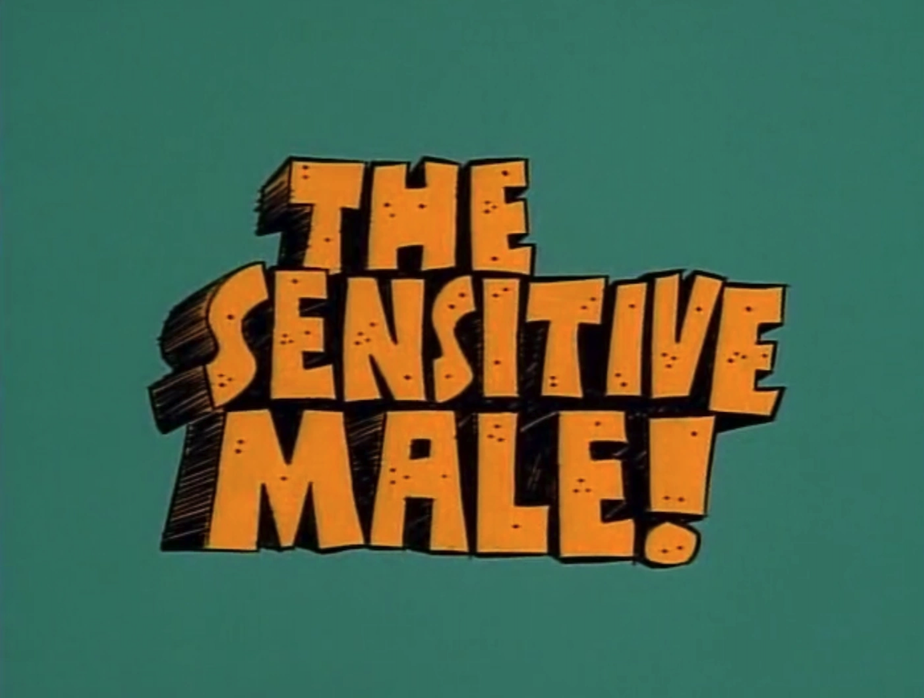 The Sensitive Male!