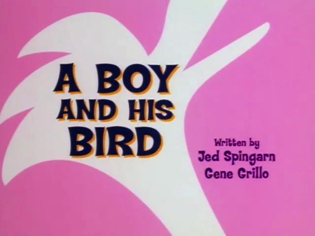 A Boy and His Bird