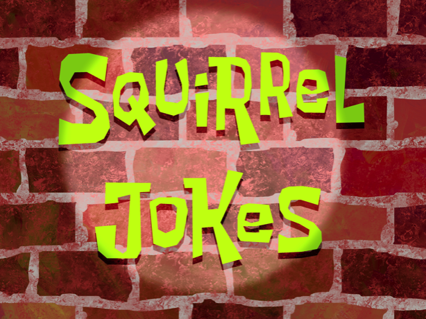 Squirrel Jokes