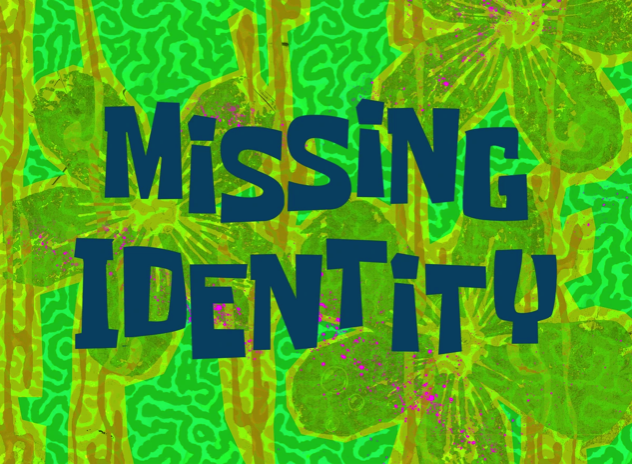 Missing Identity
