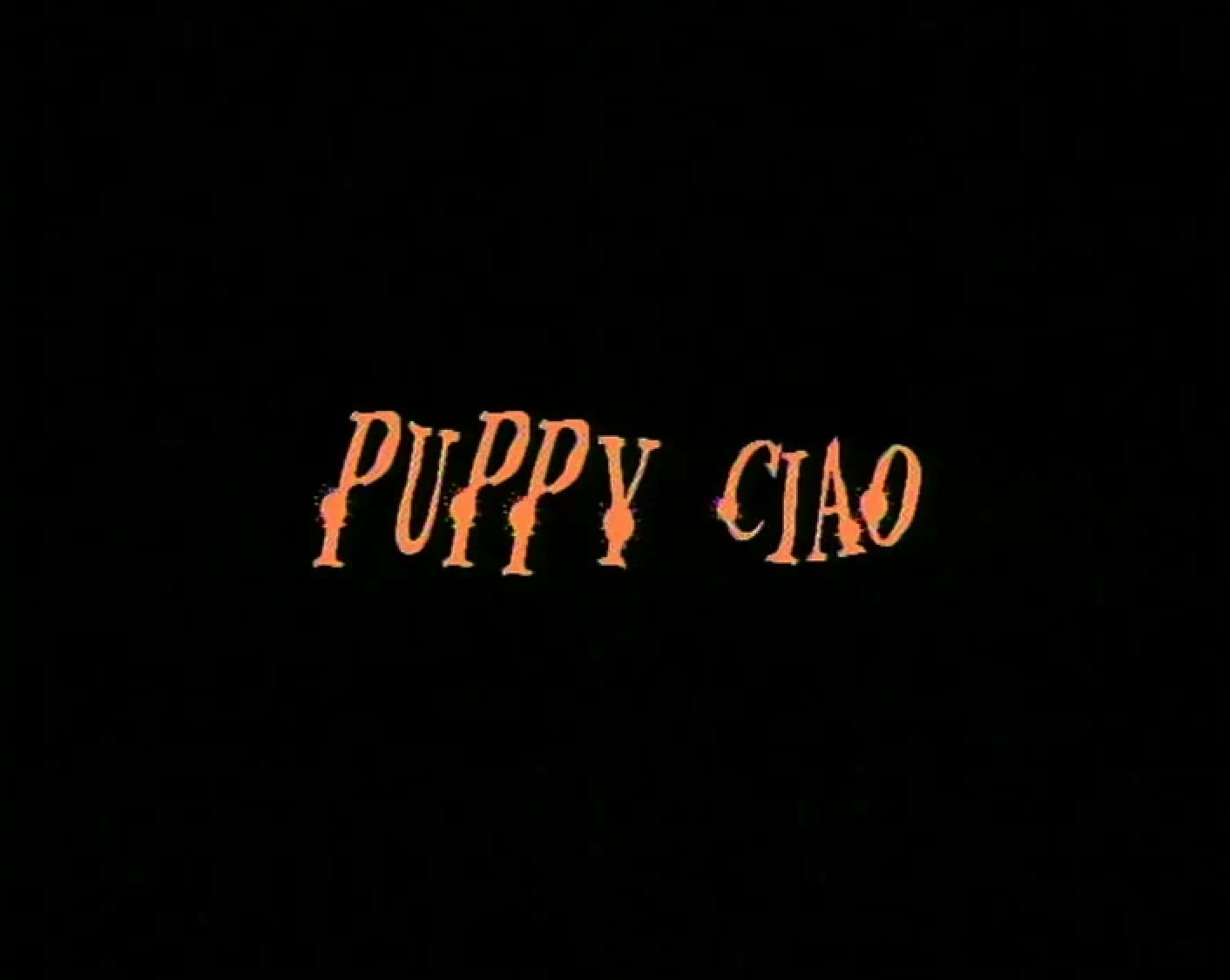 Puppy Ciao