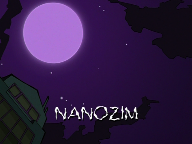 NanoZIM