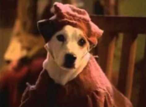 The Hunchdog of Notre Dame