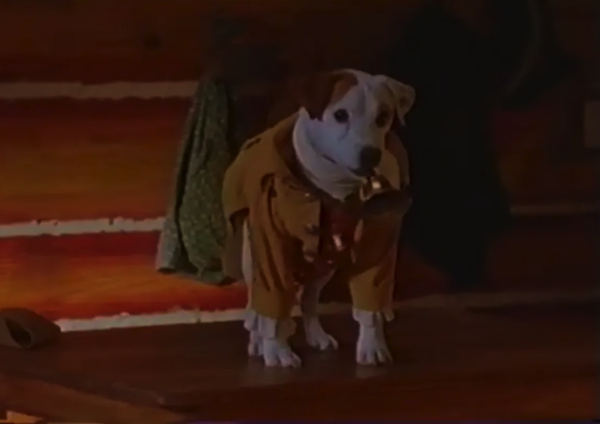 Halloween Hound: The Legend of Creepy Collars