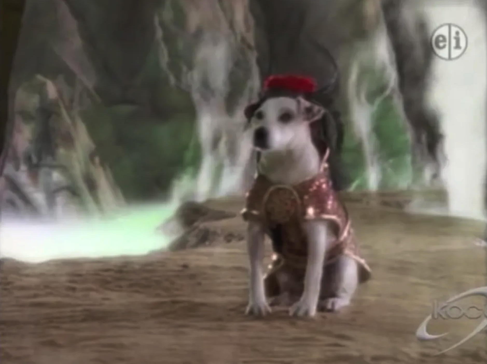 Barking at Buddha