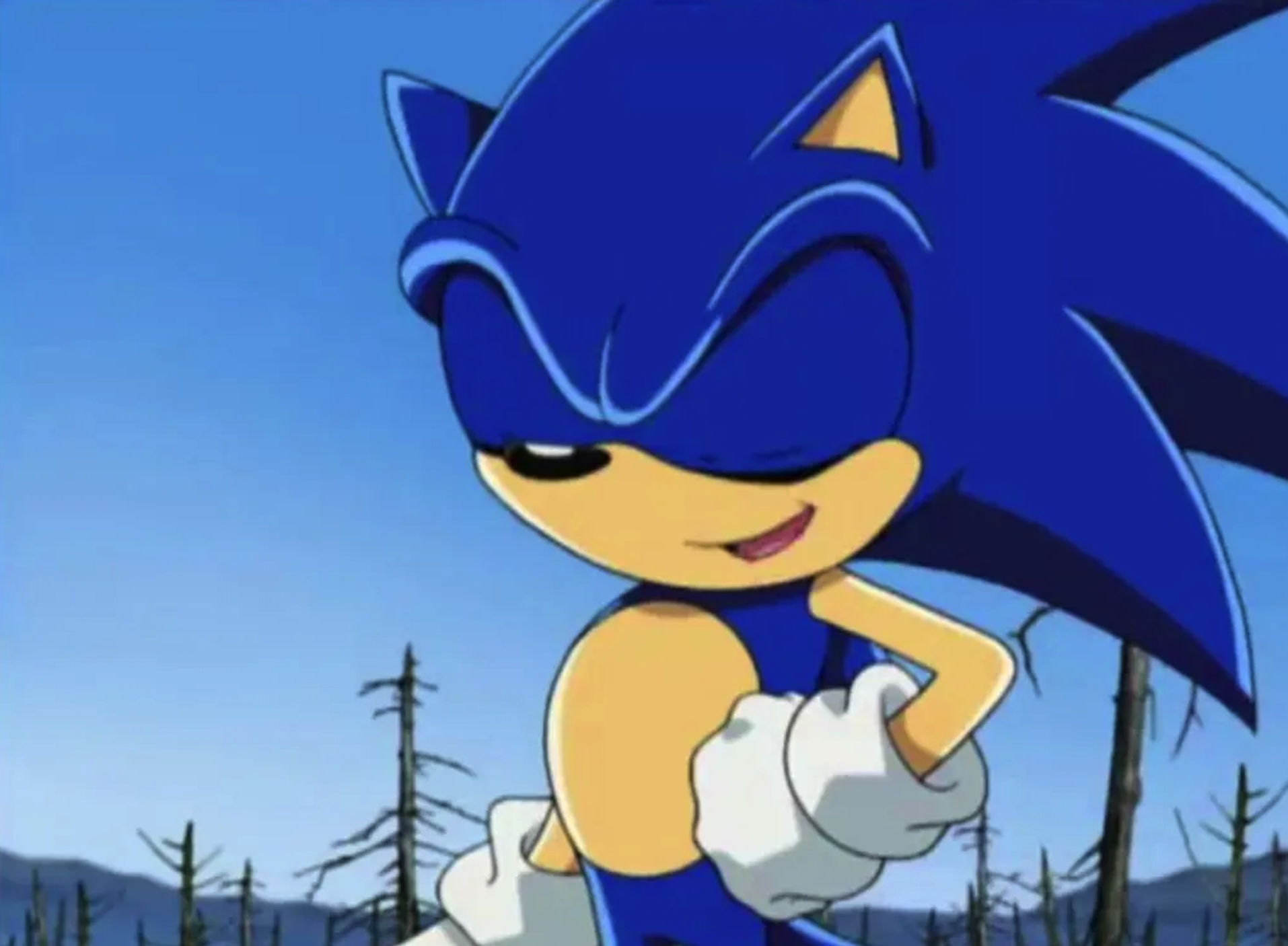 Concerns for Sonic