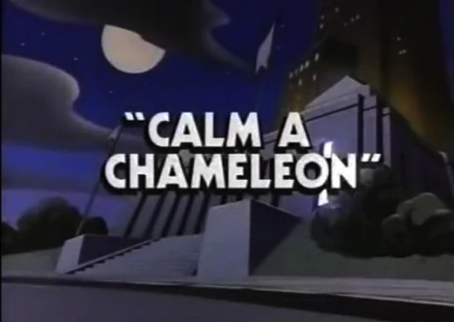 Calm A Chameleon