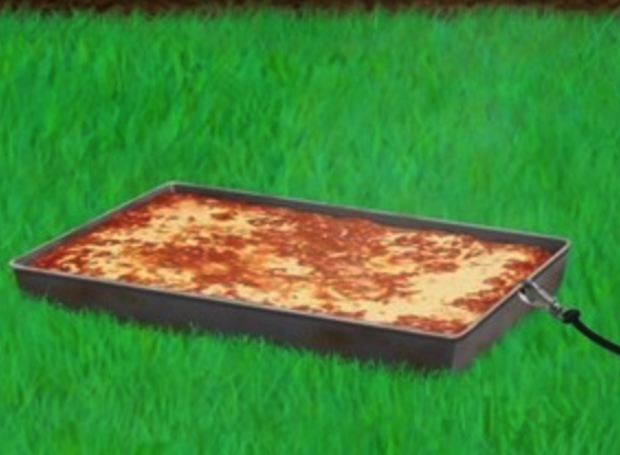 Lasagna