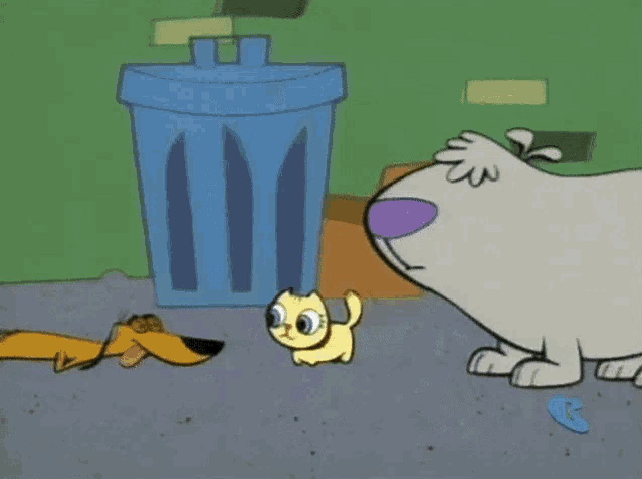 Cat!