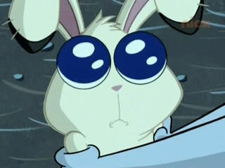 Big Eyed Bunny