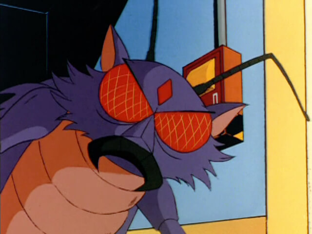 The Ci-Kat-A
