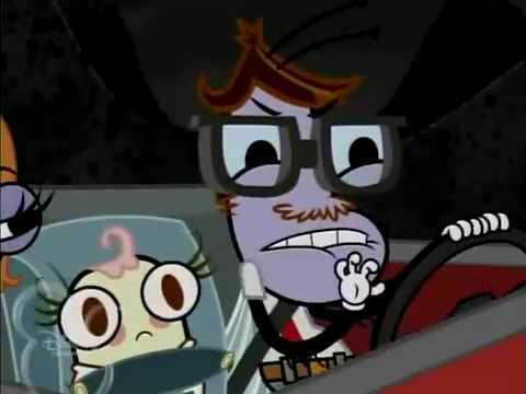 Racoooon!