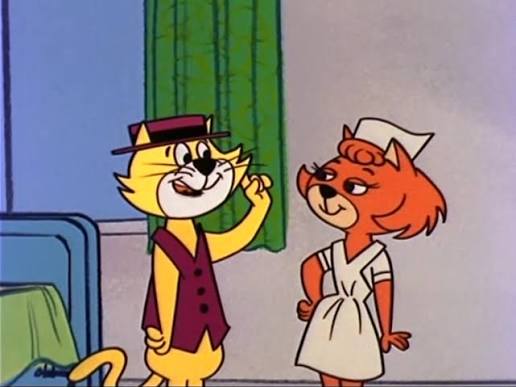 Top Cat Falls in Love