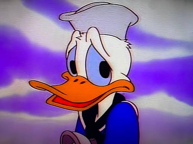 Three Ducks of The Condor
