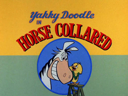 Horse Collared