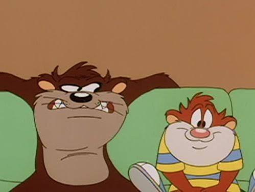 Tazmania Confidential