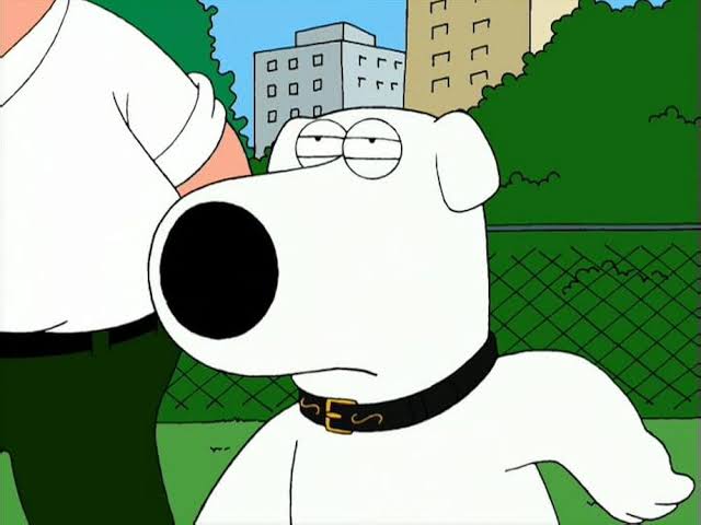 Brian: Portrait Of A Dog