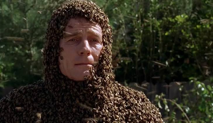 The Bots and the Bees